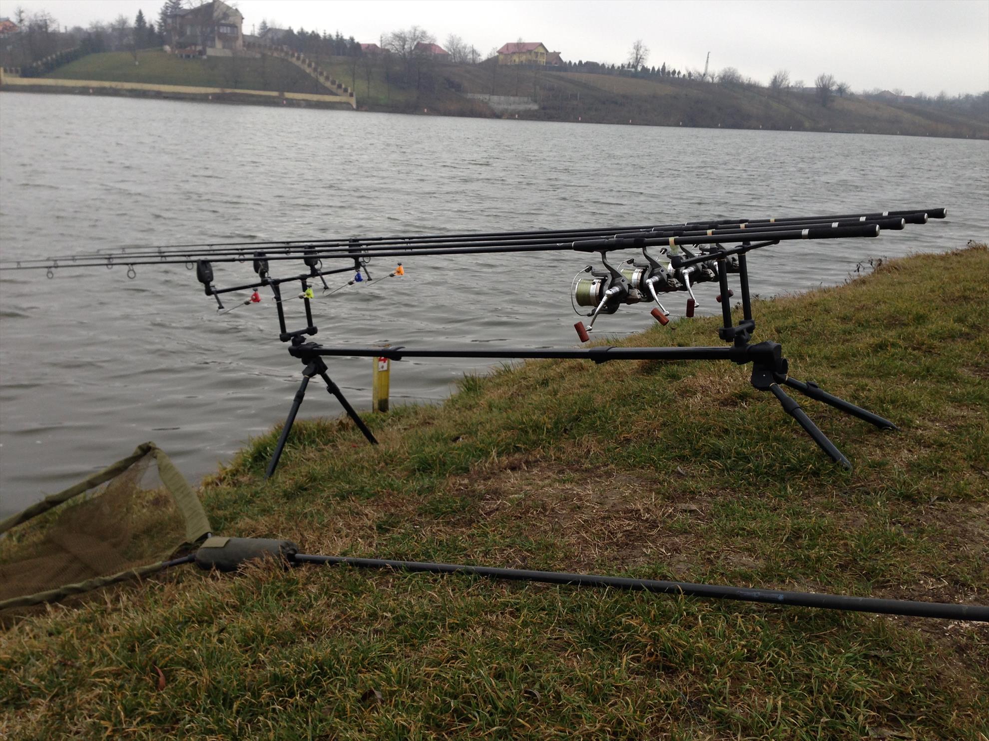 moara ian 2014 - img19571.JPG